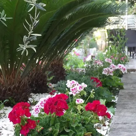 Timoleon Hotel